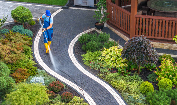 Best Local Pressure Washing Services  in Maitland, FL